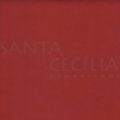 Feltro para Artesanato 50x70cm 180g - Vermelho Noel